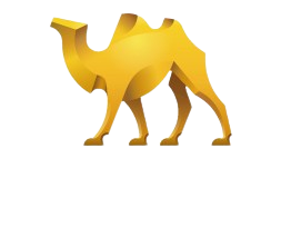 Logo Wielton